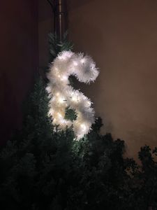 Den 6