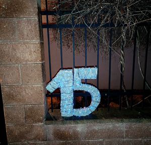 Den 15