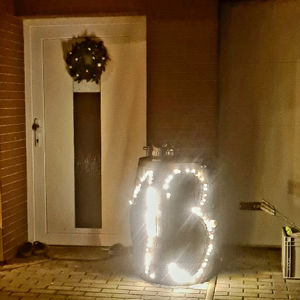 Den 13