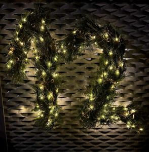 Den 12