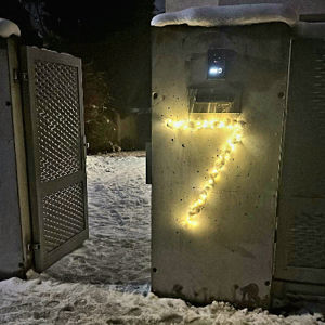 Den 7
