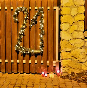 Den 21