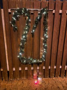 Den 21