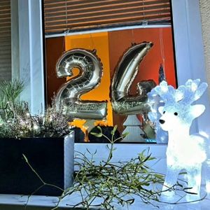 Den 24